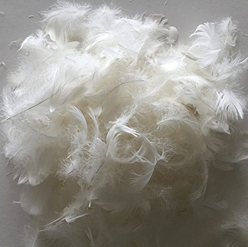 Product Cover February Snow Bulk Goose Feather/Down Filling,100% Natural White Down-DIY,Make Your own Pillow,Comforter,Cushion,Toy,Jacket,Sofa-Sample ¡­
