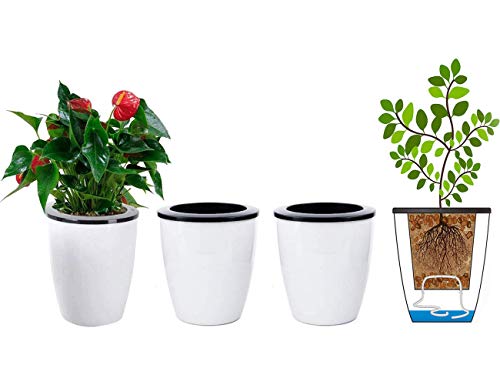 Product Cover 3 Pack Self Watering Planter White Flower Pot for All Plants, Herbs, African Violets, Succulents, Flowers Or Start Plants, White, M Size