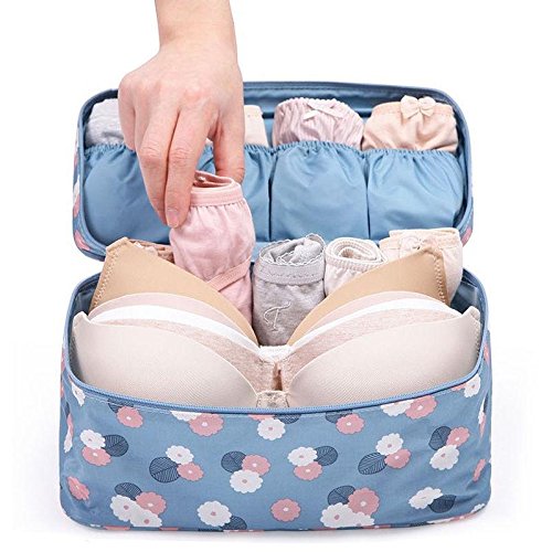 Product Cover PETRICE Women's Multifunctional Nylon Undergarments and Innerwear Storage, Travel Cosmetic, Toiletry Bag Organiser/Pouch (Colour May Vary)
