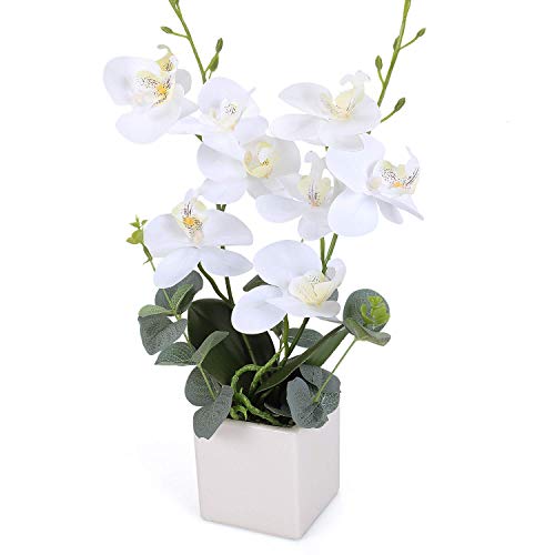 Product Cover RERXN Artificial Orchid Bonsai Fake Orchid Arrangement 2 Heads PU Potted Phalaenopsis Plant for Home Party Decor(White)