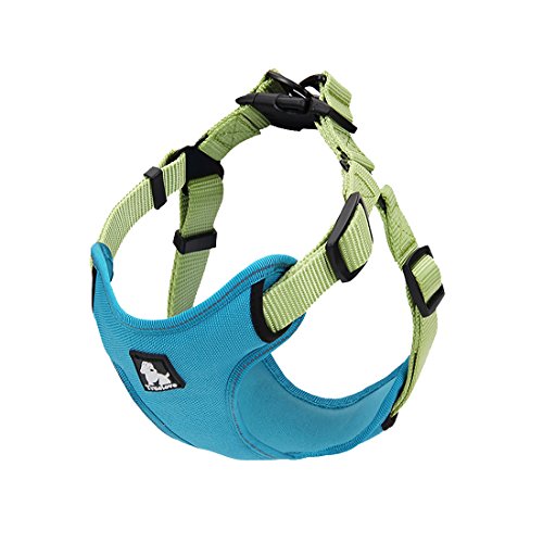 Product Cover PetsUp Nylon Dog Harness for Large Medium Small Puppy Dogs (Sea Blue, 33
