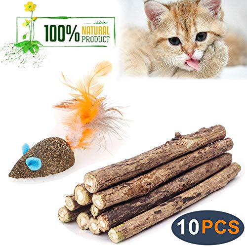 Product Cover Cat Catnip Sticks Natural Matatabi Silvervine Sticks - Cleaning Teeth Molar Tools Kitten Cat Chew Toy Natural Catnip Mouse Cat Toy (10 PCS)