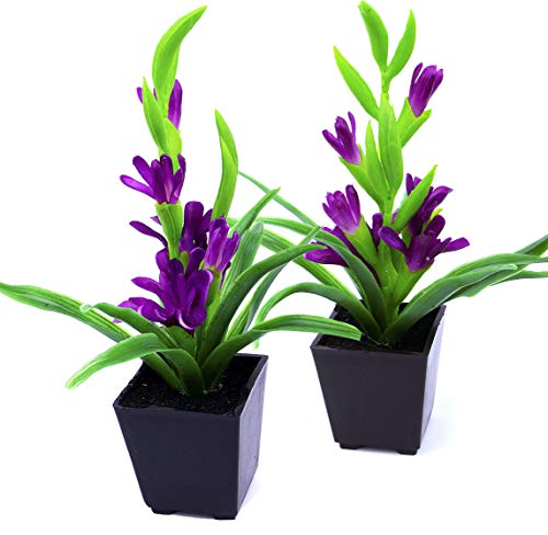 Product Cover MaxFlowery Set of 2, Artificial Vivid Tuberose Plant with Violet Blooms in Matt Black Pot, Duo Faux Potted Plants Greenery & Silk Flowers with Square Planter