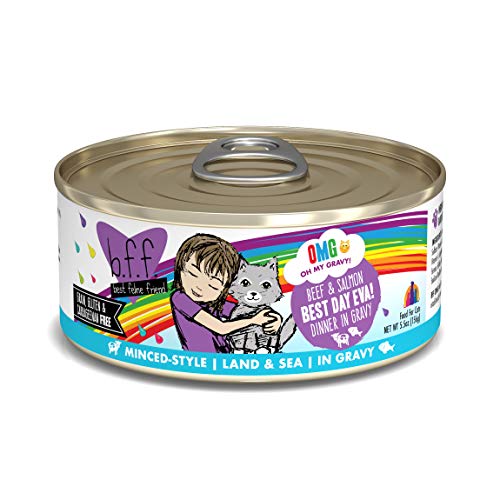 Product Cover Weruva B.F.F. Omg - Best Feline Friend Oh My Gravy! Grain-Free Wet Cat Food Cans, Best Day Eva! Beef & Salmon, 5.5-Ounce Can (Pack of 8)