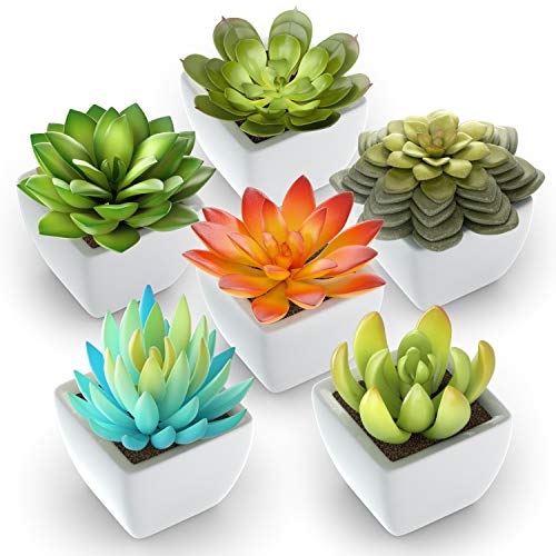 Product Cover Pack of 6 - Mini Fake Succulents Artificial Plants - Ceramic White Potted Succulents - Faux Succulents Plants for Home Office Shelf Decorations