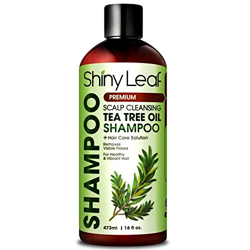 Product Cover Tea Tree Shampoo with Scalp Cleansing Formula, Natural Anti-Dandruff and Head Lice Repellent, Featuring 100% Pure Tea Tree Essential Oil, For Itchy Dry Scalp, Paraben-Free, Sulfate-Free (16 Fl. Oz)