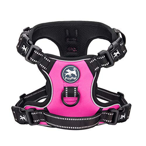 Product Cover PoyPet 2019 Upgraded No Pull Dog Harness with 4 Snap Buckles, 3M Reflective with Front & Back 2 Leash Hooks and an Easy Control Handle [NO Need Go Over Dog's Head] (Pink,L)