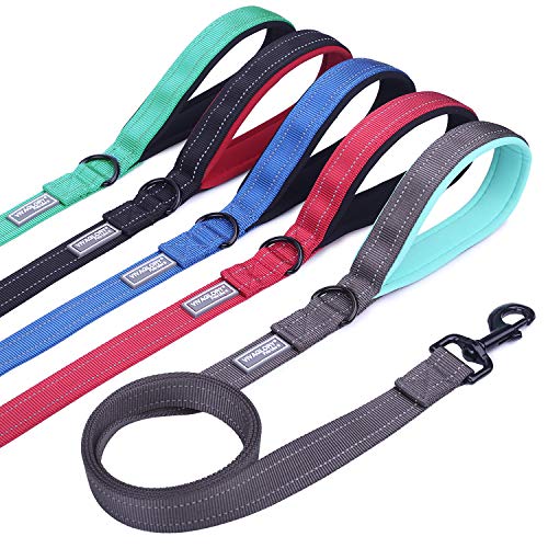 Product Cover Vivaglory Dog Training Leash with Padded Handle, Heavy Duty 6ft Long Reflective Nylon Leash Walking Lead for Medium to Large Dogs, Grey