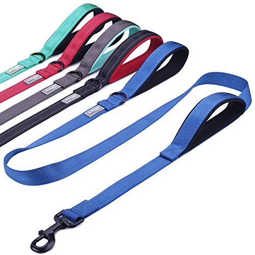 Product Cover Vivaglory Dog Training Leash with 2 Padded Handles, Heavy Duty 6ft Long Reflective Safety Leash Walking Lead for Medium to Large Dogs, Royal Blue