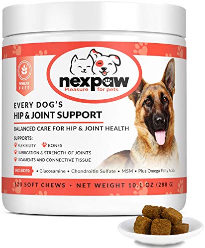 Product Cover NEXPAW Joint Supplement for Dogs with High Dose of Glucosamine & MSM | Best for Joints | Improves Mobility in Hips & Elbows - Premium Daily Support for Arthritis & Hip, 120 Wheat-Free Soft Chews