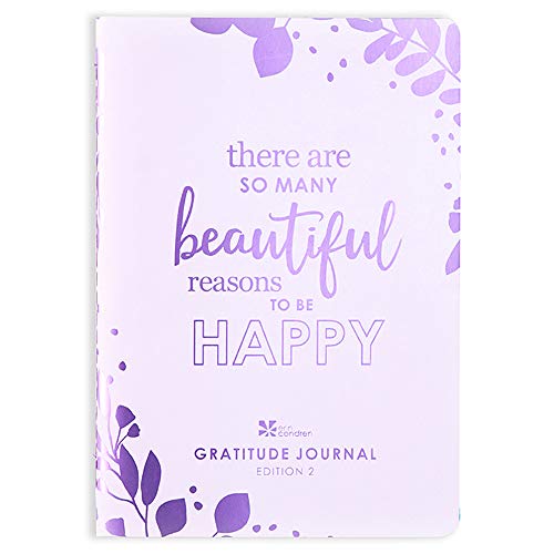 Product Cover Erin Condren Designer Petite Planner - Gratitude Journal Edition 2, Inspirational Quote Front Cover, Goal and Intention Setting, Functional Stickers for Customization