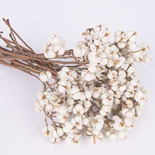 Product Cover Tallow Berries Dried, Natural Stem Wedding Floral Décor
