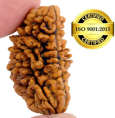 Product Cover Astro Hub 1 Mukhi Rudraksh Nepal with Certificate