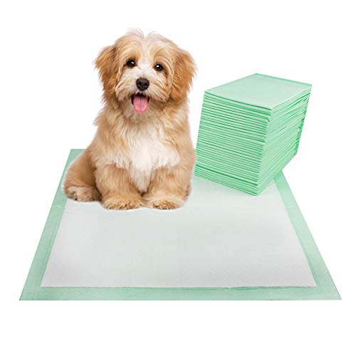 Product Cover Thxpet Pet Pee Puppy Training Pads Dog Pee Potty Pad 22