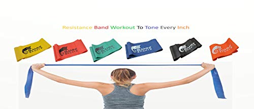 Product Cover Sahni Sports 1.5M Resistance Bands Yoga Pilates Stretch Workout Fitness Band, Resistance Bands. Your Home Gym Fitness Kit for Strength Training, Physical Therapy, Yoga, Pilates, Chair Workouts. You Choose Light, Medium or Heavy.