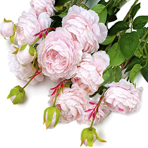Product Cover MaxFlowery New Mixed Blooms Buds Silk English Cabbage Rose Spays in Blush Pink (4 Branches /Box), Faux Flowers Greenery for Wedding Home Business Decoration