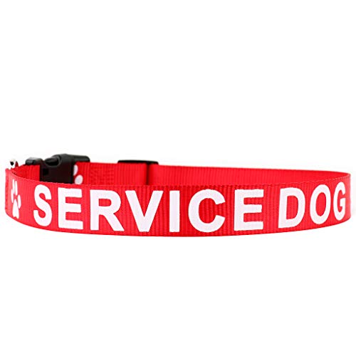 Product Cover Plutus Pet Service Dog Collar,Printed in Large Letters on Nylon Webbing,Prevents Accidents by Warning Others of Your Dog in Advance,Two Colors,Four Sizes,Neck 10-16 inch,Small,Red