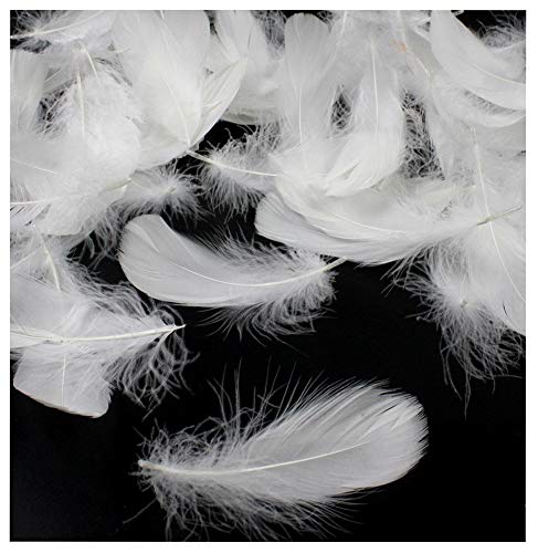 Product Cover TommoT 300 Pcs 8-12Cm 3-5 Inch Natural White Duck Feathers for Wedding Decorations or Dream Catcher Craft