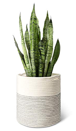 Product Cover Mkono Cotton Rope Plant Basket Modern Indoor Planter Up to 11 Inch Pot Woven Storage Organizer with Handles Home Decor Christmas Gift Idea, 12