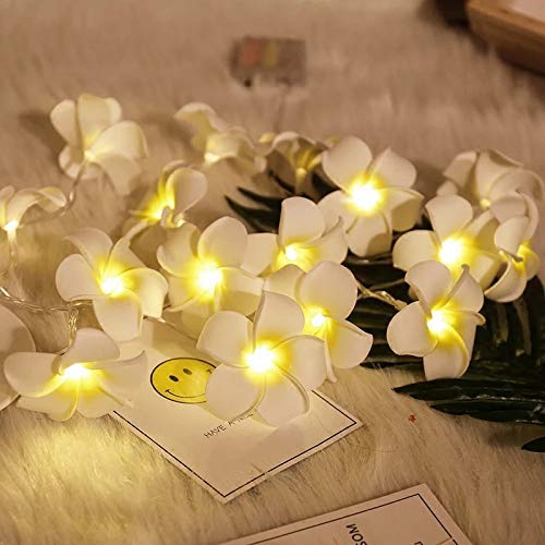 Product Cover Satyam Kraft Battery Operated 10 Hawaii Flower String Fairy Light