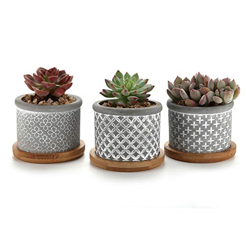 Product Cover T4U 2.5 Inch Cement Succulent Planter Pot with Bamboo Tray Grey Set of 3, Small Concrete Cactus Plant Pot Indoor Herb Window Box Container for Home and Office Decor Birthday Wedding Christmas Gift