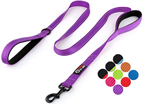 Product Cover Primal Pet Gear Dog Leash 6ft Long - Traffic Padded Two Handle - Heavy Duty - Double Handles Lead for Control Safety Training - Leashes for Large Dogs or Medium Dogs (6FT, Deep Purple)