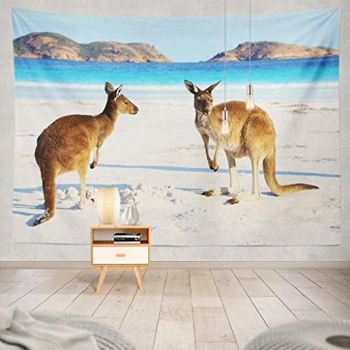 Product Cover KJONG Two Western Grey Beach National Park Western Australia Kangaroo Beach Australia Cute Animal Sand Wild WildlifeDecorative Tapestry,60X80 Inches Wall Hanging Tapestry for Bedroom Living Room