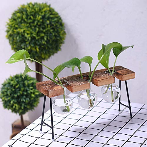 Product Cover Takefuns Hydroponic Vase Vintage Glass Water Planting Glass Vase Desktop Hanging Glass Libra Planter Bulb Vase Hydroponics Plants Office Desk Wedding Decor with Retro Wooden Stand （3 Bulb Vase）