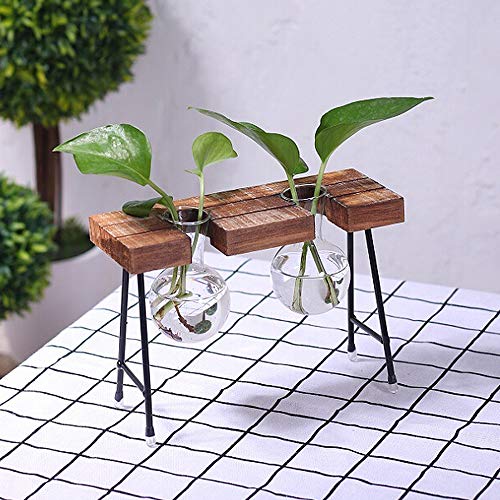 Product Cover Takefuns Hydroponic Vase Vintage Glass Water Planting Glass Vase Desktop Hanging Glass Libra Planter Bulb Vase Hydroponics Plants Office Desk Wedding Decor with Retro Wooden Stand（2 Bulb Vase）