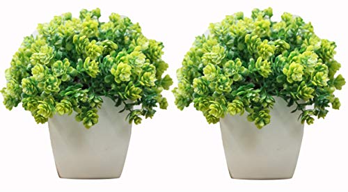 Product Cover Hyperboles Set of 2 Mini Cute Artificial Plants Bonsai Potted Plastic Faux Green Grass Fake Topiaries Shrubs for Home Decor, Washroom and Office Decor