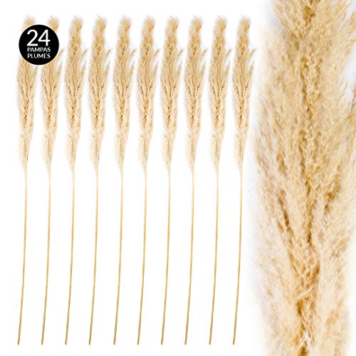 Product Cover Koyal Wholesale Tall Natural Dried Pampas Grass, Natural Cream Color, 51-55 Inches, Bulk 24 Pcs Extra Large Real Pampas Plume Stems, Long Dry Grass for Wedding Arches, Centerpieces, Floor Vase Decor