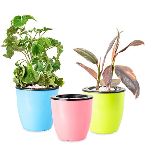 Product Cover (3 Sets) Self Watering Planters - Suitable for All Plants, African Violets, Herb Pot for Plants. African Violet Pots Self Watering Pots for Indoor Plants/Outdoor Flowers Pots Indoor Pink,Blue&Green