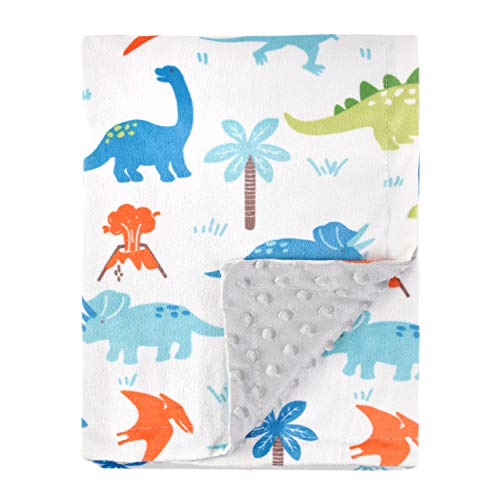 Product Cover HOMRITAR Baby Blanket for Kids Super Soft Minky Blanket with Dotted Backing, Toddler Blanket with Dinosaurs Multicolor Printed 30 x 40 Inch(75x100cm)