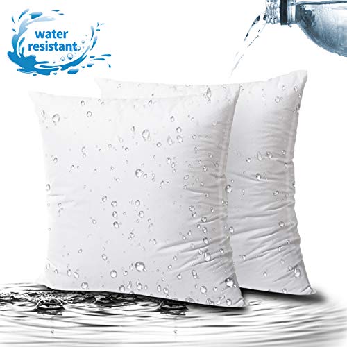 Product Cover Phantoscope 2 Packs Outdoor Anti-Mold Water Resistant Throw Pillow Inserts Hypoallergenic Square Form Sham Stuffer 18 x 18 inches