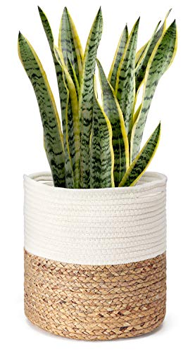 Product Cover Mkono Cotton Rope Plant Basket with Water Hyacinth Modern Indoor Planter Up to 10 Inch Pot Woven Storage Organizer with Handles Home Decor Christmas Gift Idea, 11