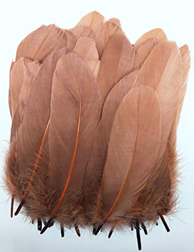 Product Cover 100pcs Goose Feathers Colorful Dyed Natural Feather for Crafts, DIY, Wedding, Party Decorations Accessories 5.9-7.87inch/15-20cm (Coffee)