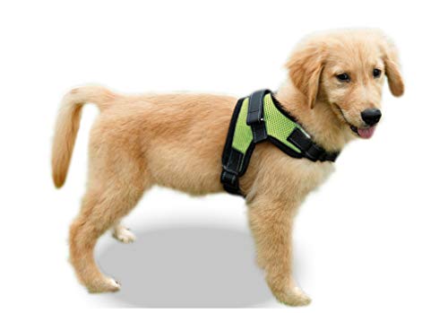 Product Cover Copatchy No Pull Reflective Adjustable Dog Harness with Handle (Medium, Green)
