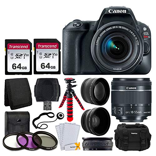 Product Cover Canon EOS Rebel SL2 Digital SLR Camera + EF-S 18-55mm f/4-5.6 IS STM Lens + 58mm Wide Angle & Telephoto Lens + 2x 64GB Memory Card + DC59 Gadget Bag + 12