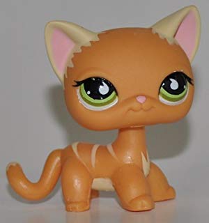 Product Cover BBR Pet L Shop Shorthair Kitten #525 (Orange, Green Eyes, White Ears)