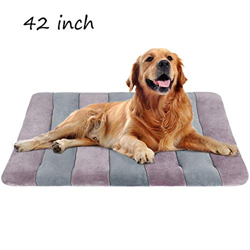 Product Cover JoicyCo Dog Bed Large Crate Bed Mat 42