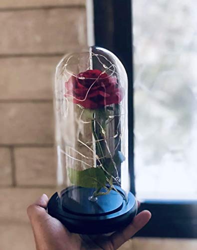 Product Cover Deluxsa Enchanted Red Silk Rose,Beauty and The Beast Rose with Fallen Petals in A Light Dome,Home/Office or Home Decorations, Anniversary, Valentine's Day