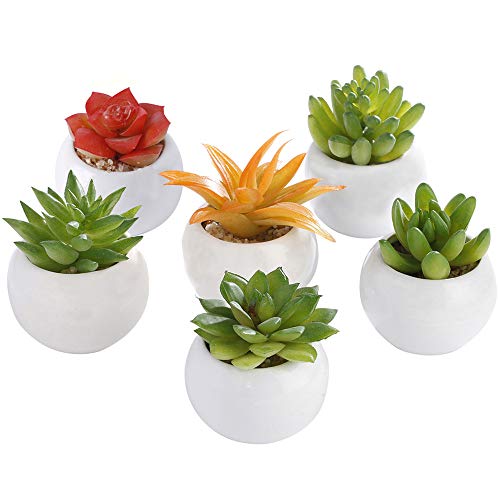Product Cover LOMIRO Artificial Succulent Plants Assorted Faux Small Succulents with White Ceramic Pots,Home,Office,Party,Wedding,Desk Decors, Modern,Multi Color,Set of 6