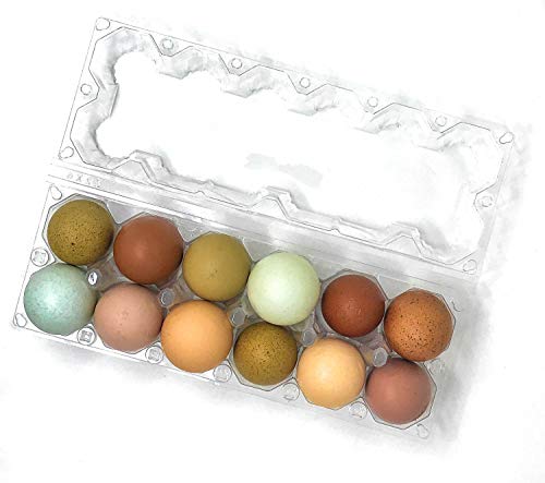Product Cover 24 Pack Premium Clear Plastic Reusable Dozen Egg Container Carton with Labels holds 12 Large Eggs