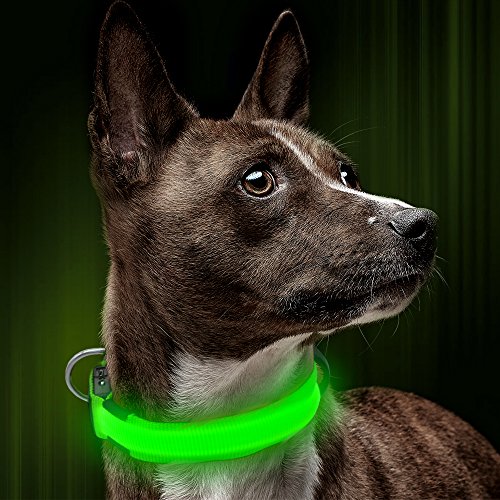 Product Cover Illumifun LED Dog Collar, USB Rechargeable Glowing Pet Safety Collar, Adjustable Reflective Light Up Collar for Your Small Dogs(Green, Small)