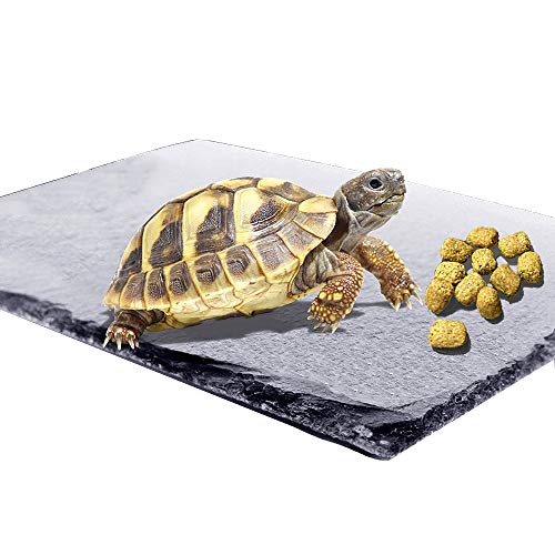 Product Cover Reptile Basking Platform Tortoise Rock Plate Turtle Bathing Area Feeding Food Dish Resting Terrace