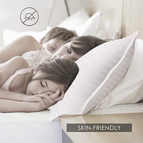 Product Cover COZSINOOR Cozy Dream Series Hotel Quality Pillows for Sleeping [Set of Two] Premium Plush Fiber, 100% Breathable Cotton Cover Skin-Friendly, Queen size 20