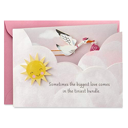 Product Cover Hallmark Paper Wonder Paper Craft Baby Shower Card for Baby Girl (Stork)