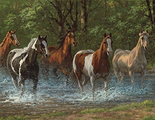 Product Cover Springbok Puzzles- Summer Creek Alzheimer & Dementia Puzzle - 36 Piece - 23.5 by 18