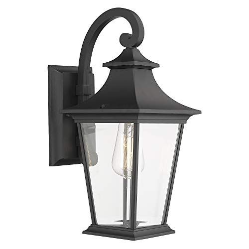 Product Cover Emliviar Outdoor Wall Lantern, 1-Light Exterior Wall Mount Light with Clear Glass in Black Finish, 18