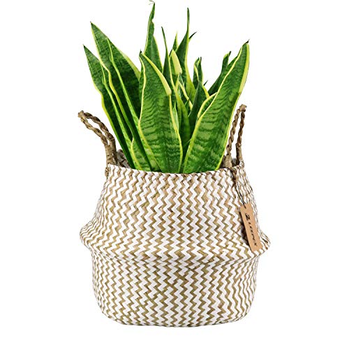 Product Cover LEEPES Natural Craft Seagrass Belly Basket White Zigzag Storage Laundry, Picnic Woven Straw Beach Bag - Plant Pots Cover Indoor Decorative(10